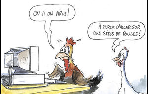 POULE HONNEUR 2013 / 2014