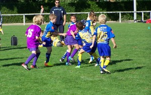 Programme école du rugby .....