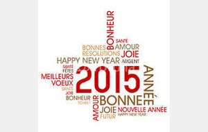 Bonne Année 2015 ....