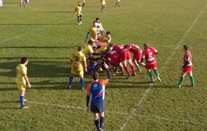 Le CAB Pays d'orb cartonne ....