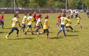 Programme Ecole de rugby ....