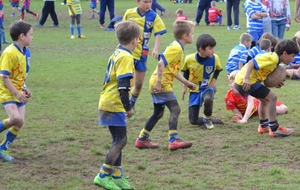 Ecole de rugby : résultats .....