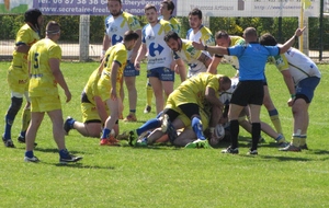 Les jaunes et bleus se sont bien battus ..