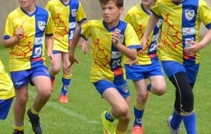 infos école de rugby ....