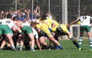 Le CAB grand orb battu en demi ...