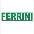 Ferrini