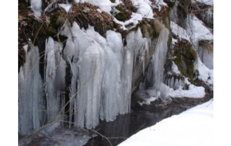 FFR LANGUEDOC ça grelotte .......