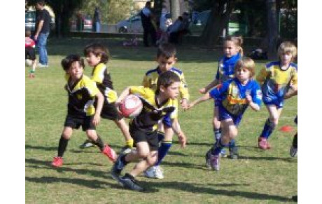 Tournoi école de Rugby à Millau ....
