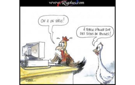 Rappel Poule Honneur 2012/2013 .....