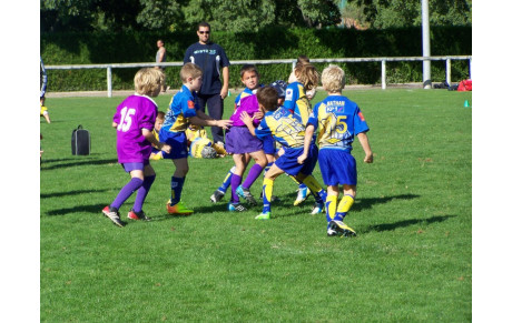 Programme école du rugby .....