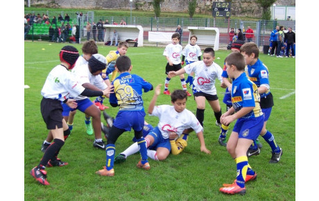 Ecole de Rugby : bientôt la reprise ....