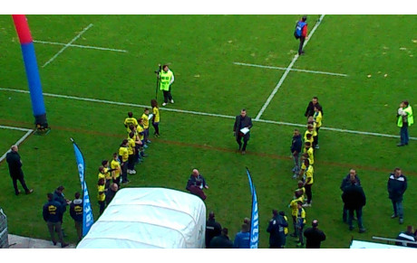 Ecole de rugby : résultats