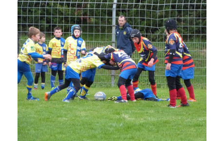 Ecole de rugby : résultats .....