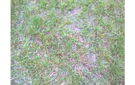 Matchs contre Maureilhan Montady remis ..