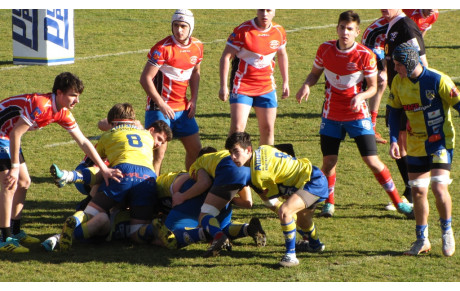 les jeunes mi figues , mi raisins ...